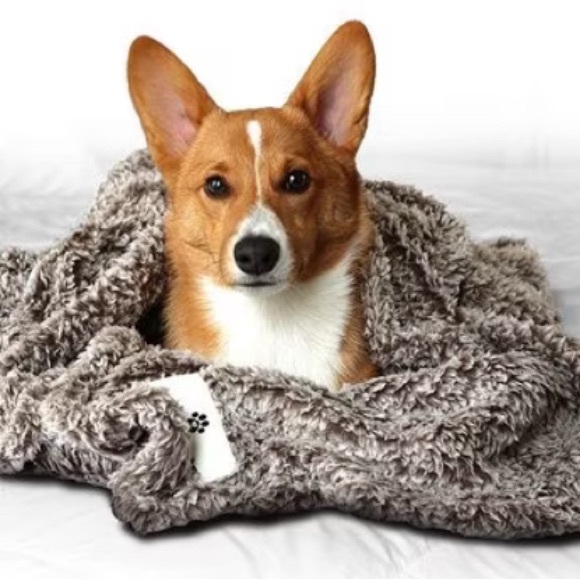 Pet blanket - Picture 1 of 5